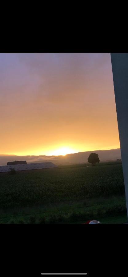Gites Bretzel Et Cigogne Munwiller Zewnętrze zdjęcie