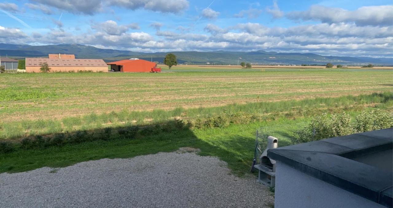 Gites Bretzel Et Cigogne Munwiller Zewnętrze zdjęcie